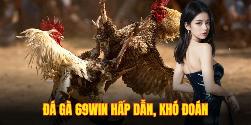 Đá gà với đa dạng hình thức, đáp ứng mọi mong muốn