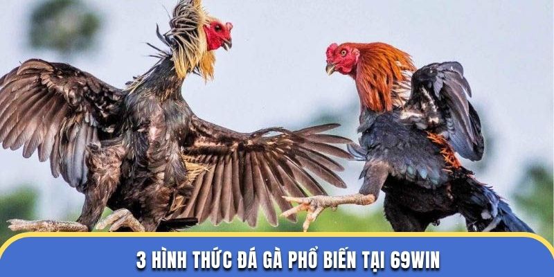 3 hình thức đá gà phổ biến tại 69WIN
