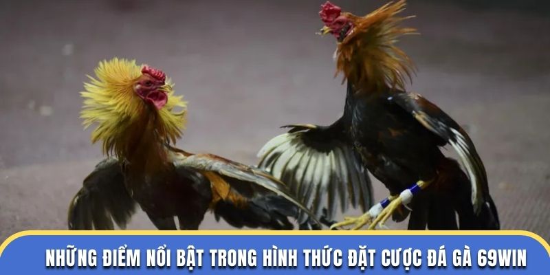 Những điểm nổi bật trong hình thức đặt cược đá gà 69WIN