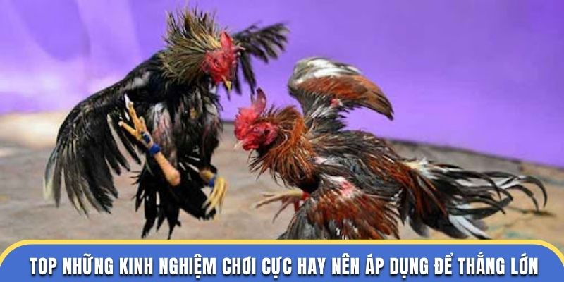 Top những kinh nghiệm chơi cực hay nên áp dụng để thắng lớn
